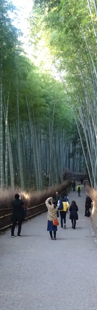 Japan - Durch das Land der aufgehenden Sonne